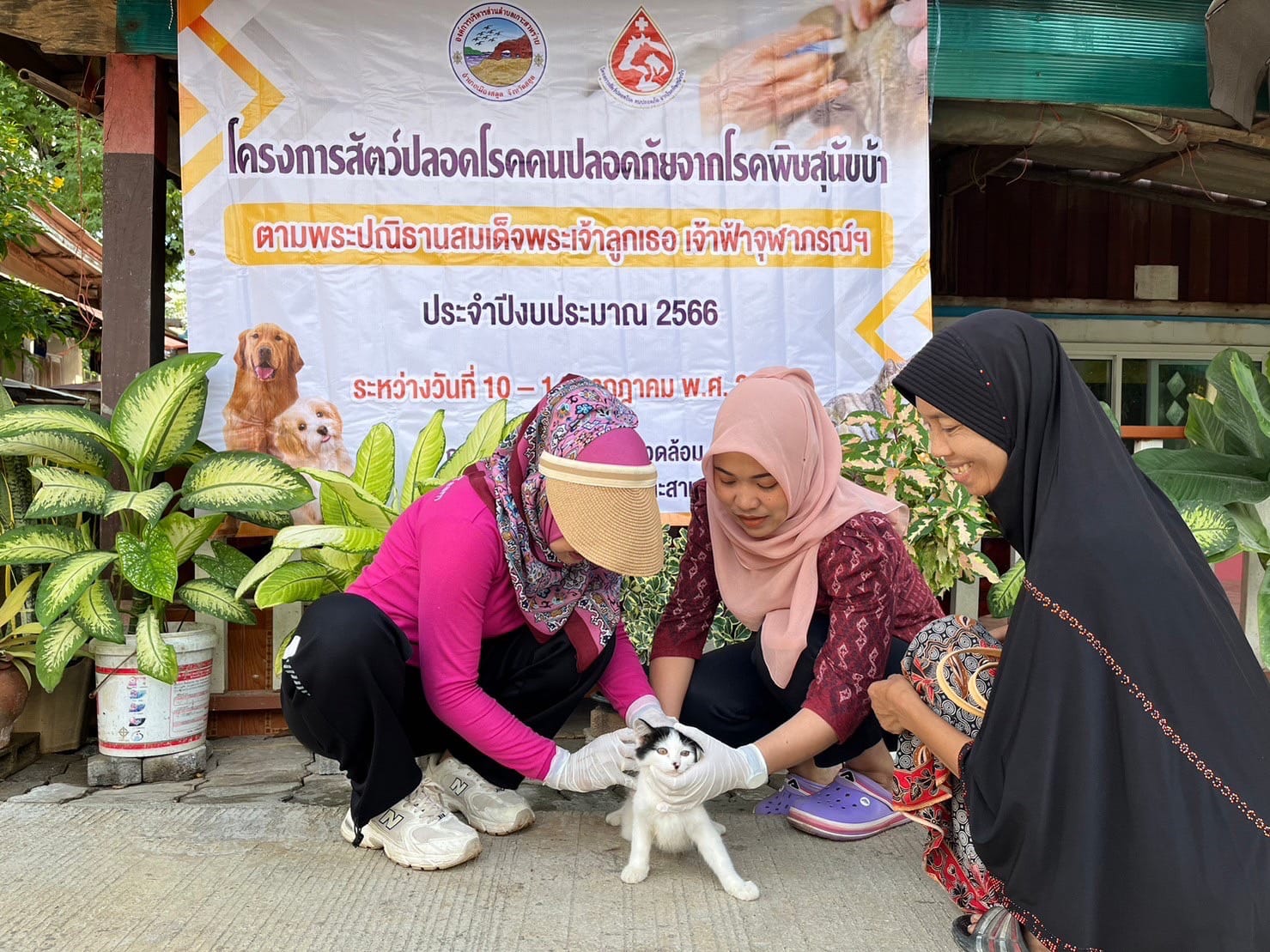 กองสาธารณสุข อบต.เกาะสาหร่าย จ.สตูล ลงพื้นที่ 8 หมู่ ฉีดวัคซีนป้องกันโรคพิษสุนัขบ้าให้สุนัขและแมว โครงการ “สัตว์ปลอดโรค คนปลอดภัย จากโรคพิษสุนัขบ้า ตามพระปณิธาน ศาสตราจารย์ ดร.สมเด็จพระเจ้าลูกเธอ เจ้าฟ้าจุฬาภรณวลัยลักษณ์ อัครราชกุมารี ประจำปีงบประมาณ 2566